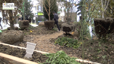 Le jardin de Guillaume Lachana au concours « Carré des jardiniers » 2021 
